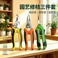 2026研学旅行农用工具展|安全教学农具套装采购