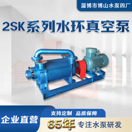 2SK-12系列两级水环真空泵 真空设备 工业气体输送 造纸领域