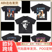 ���羳ŷ�롿Vintage Aaliyah Washed Men's Women Clothing T Sh