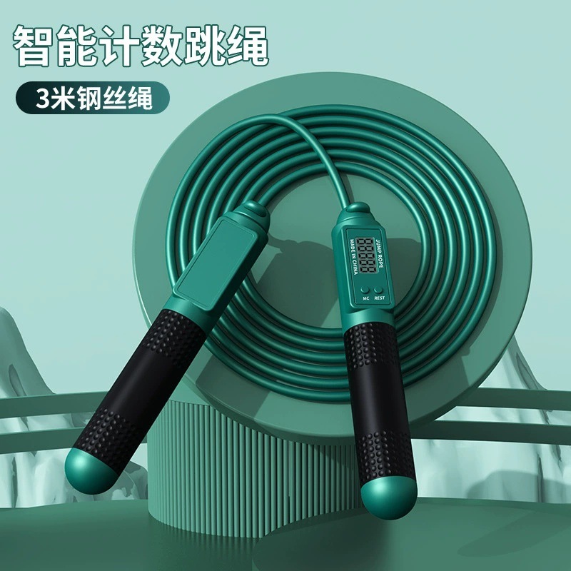 짙은 녹색의 긴 밧줄