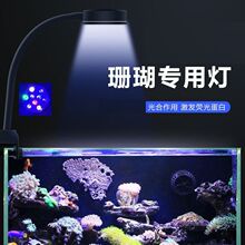 珊瑚灯海水缸射灯小丑鱼软体海葵补光灯藻浅海新手鱼缸灯具