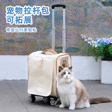 dodopet�羳����؈�乷������p����ۯB�ɲ�ж�����������U��