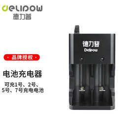德力普（Delipow）2号3000毫安充电电池 /C型中号二号充电器套装