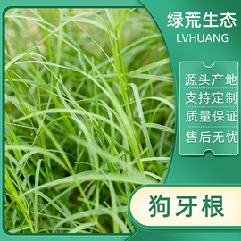 其他农业;工地施工材料;草坪