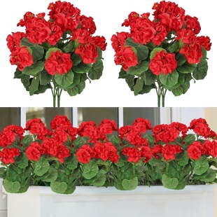 �羳���컨���Ļ���Ƭ30����Y��Y�zӰ���ÿ������Ҿӑ���ͥԺ�b