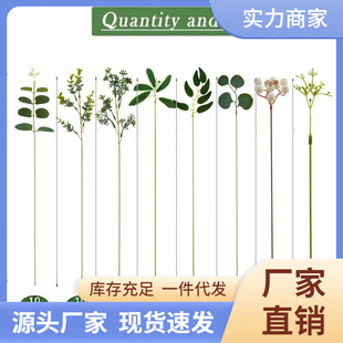 �羳�羳�M�φ�֧����GֲDIY����������֦�b�Ʒ�����֧����ֲ