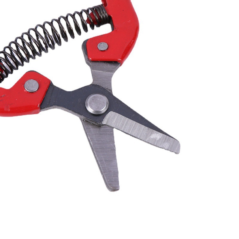 Factory direct supply of thin fruit pruning shears, garden shears, gardening thin flower picking, fruit branch scissors, vegetable and fruit shears