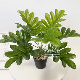厂家供应 仿真叶子植物墙绿植墙配材装饰绿叶9头春芋叶