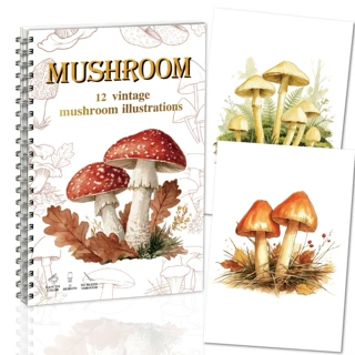 跨境新品WatercolorWorkbook初学者复古蘑菇水彩练习涂色本