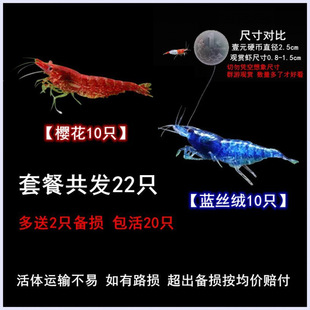 �^�p�r��̖��ˮ�ͻ�С���^�p�~���B�r����ښ��r�����^�p�r�S��