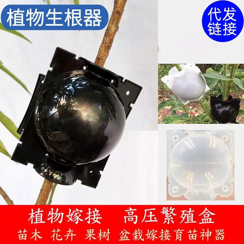 Коробка для распространения растений под высоким давлением резка ящик для прививки ящик для укоренения садовые деревья высотное нажатие шар для укоренения пропагатора