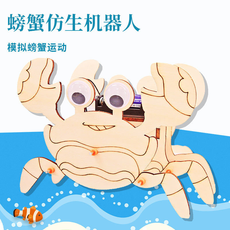 Experimento de ciencia para niños Tecnología pequeña producción hecha a mano DIY estudiantes de escuela primaria ciencia y educación frontera material paquete al por mayor