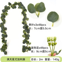 �羳�ٗl�ȼ�����������~�Ғ������ٻ��bGֲ���ϲ��ø߷���