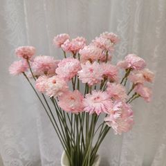 [小麦わら菊] カラフルな菊雲南ドライフラワー卸売組み合わせドライフラワー永遠の花白ピンク結婚式の装飾