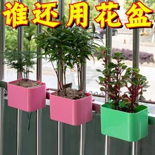 �N��ֲ�ﻨ�軨���̨�Ғ�����ˮ����̫ꖻ������҃Ȼ���С���¼�