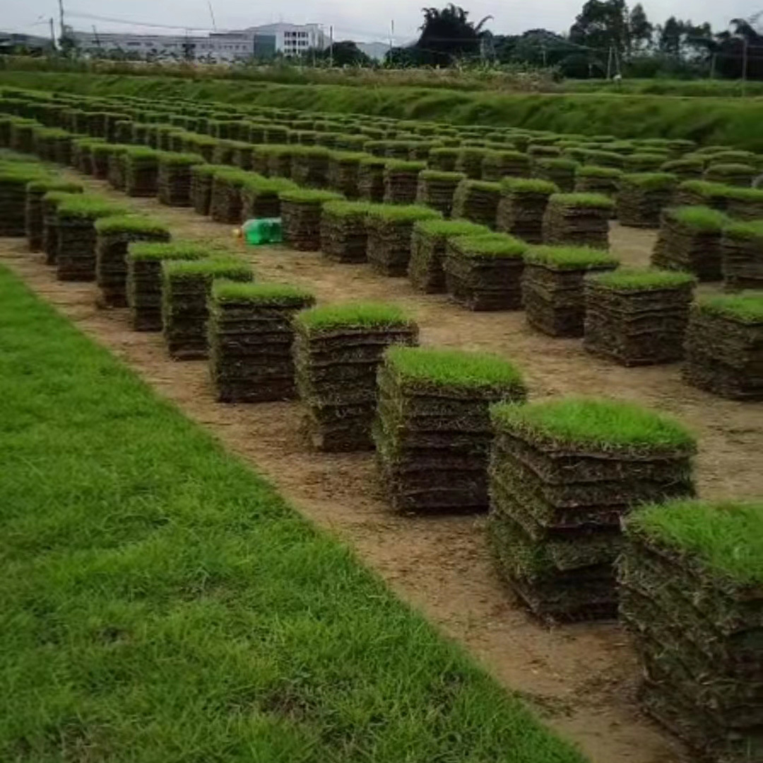 c000e4f399c6dc68fa36d944c1a53d