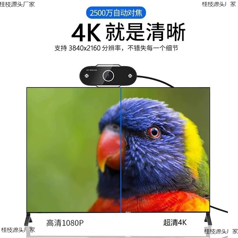 Laptop, CCTV camera, microphone