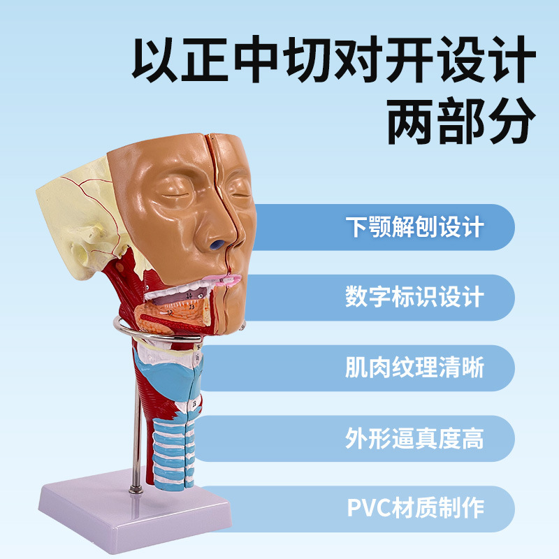 �ǡ��ڡ��ʡ���ǻģ�� �ʼ� ͷ������ǻ����ʸ״����­�Ǳ��и���