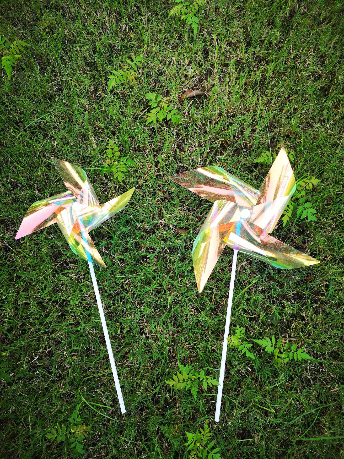 QQ图片20210613113530