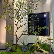 ��Ʒ���u��������Gֲ�҃��b��쾰��ؔ[�����sֲ����ʽ���Ҿ��^