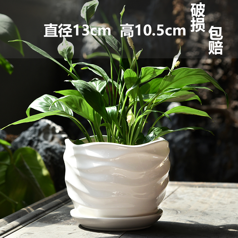 단일 중간 순수한 흰색 파도