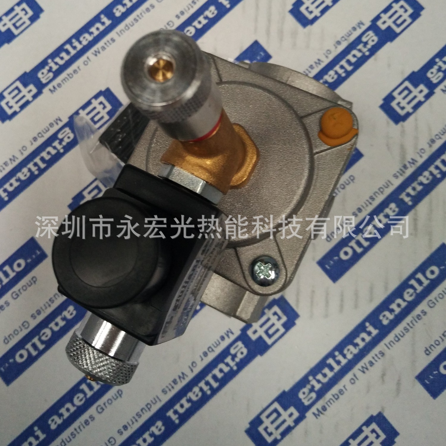 EV32/6B常闭型紧急切断阀朱丽安尼GIULIANI原装燃烧机配件供应商