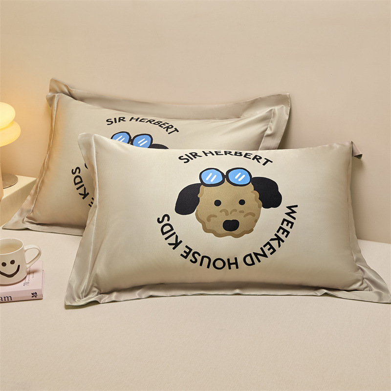 Un par de fundas de almohada de seda de hielo de 48cmx74cm fundas de almohada de seda para el hogar 2025 nuevo juego completo individual premium