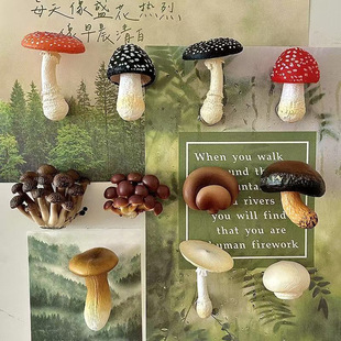 ������Ͼ����㹽Ģ�������N�����b��N����Ҿ��b�Ʒ�����N���w