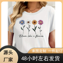 Ůʿӡ��T�� - "�绨��`��" ����A�I���e���£�͸���ļ�������