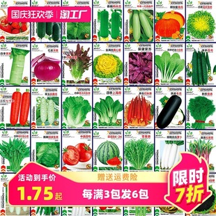 һ�����l�߲˷N���ļ����N�̨�r��������˲������˾²�С�[��ݮ