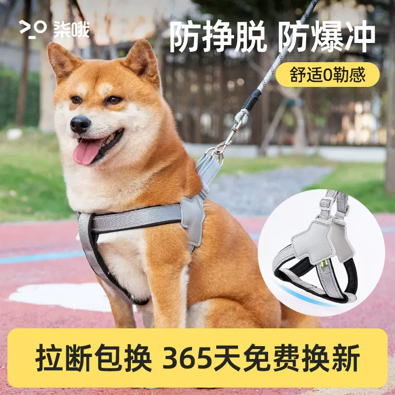狗狗牵引绳背心式宠物胸背带遛狗绳中小型柴犬柯基比熊泰迪狗链子