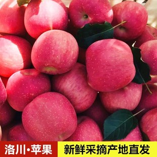 ����崨�t��ʿ�O���Fժ�F�l�����ЋDˮ�������֭���a��һ�����l