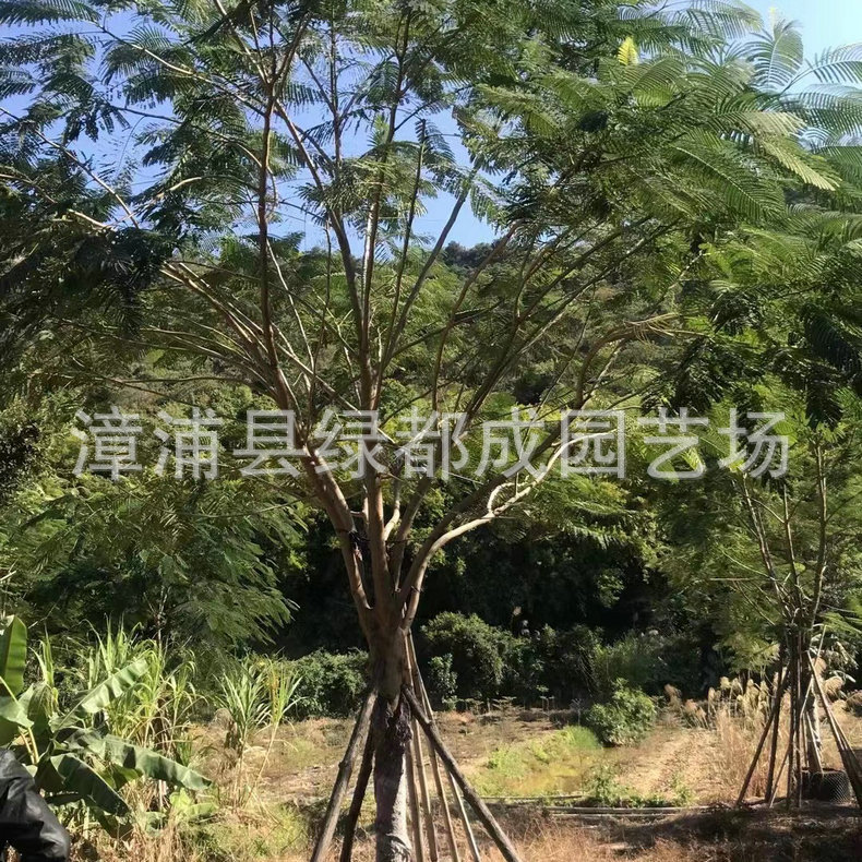 发布供应商品 - 1688.com 全球领先的采购批发平台