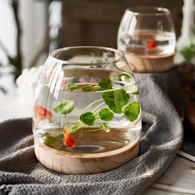 Jarrón de vidrio transparente con soporte de madera de estilo japonés, planta hidropónica de rábano verde, pecera ecológica, arreglo floral de escritorio simple, decoración