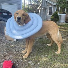 ëL̖ɯȦȮȦ֏Ͳ׷򹷹