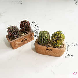 迷你袖珍红陶拇指盆吸水透气小多肉植物花盆花园微型摆件