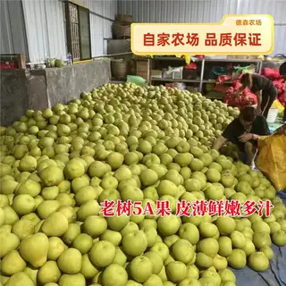 来自度尾文旦柚福建仙游老树果红心柚新鲜孕妇水果10斤装德森农场