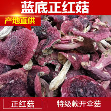 ؛tҰ؛ҰtĢtʳþt㹽