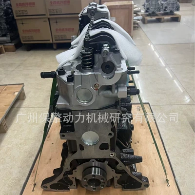 Diesel 4-cylinder Engine assembly
