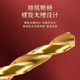 Tianguang 6542 Titanium-Plated Twist Drill Bit for Stainless Steel, Special Drilling Rotor Drill Alloy with High Strength and High Hardness