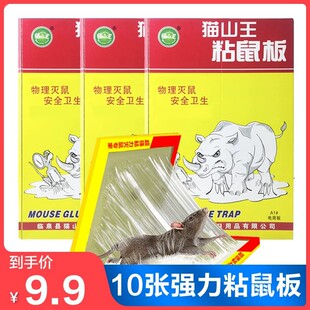 ����ճ��岶�������N�z��׽ץ������A��������մ�������һ�C��