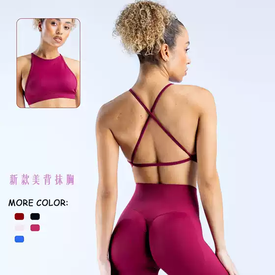DFYNE Women's New High-Stretch Shockproof Full Matte Nylon Cross-Back Seamless Sports Bra for Yoga