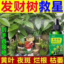 ľIBҺlؔS~~־~ӰlS߰װ߿ˮό