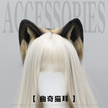 ����F��ë�q�l���չ����Ԫ�Ɍ��^��cos�����^�KC؈����l��