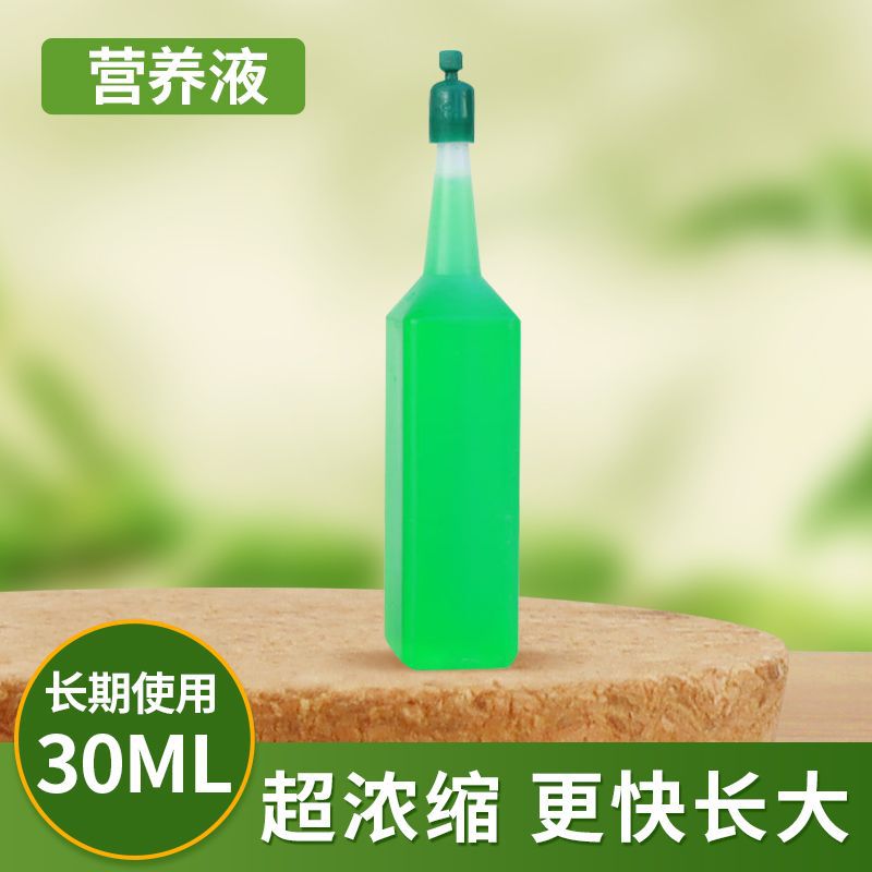 【녹조구】 전용 영양액