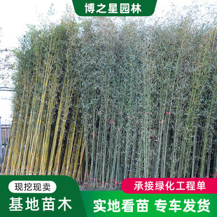 �������G�����^��������������������ͥԺ�^�p�G�hֲ��������l