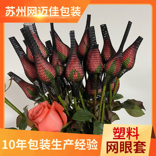 õ�廨�r�W�� ��ɫ�����W�۴����o�W�����l �׻��ٵľW���l