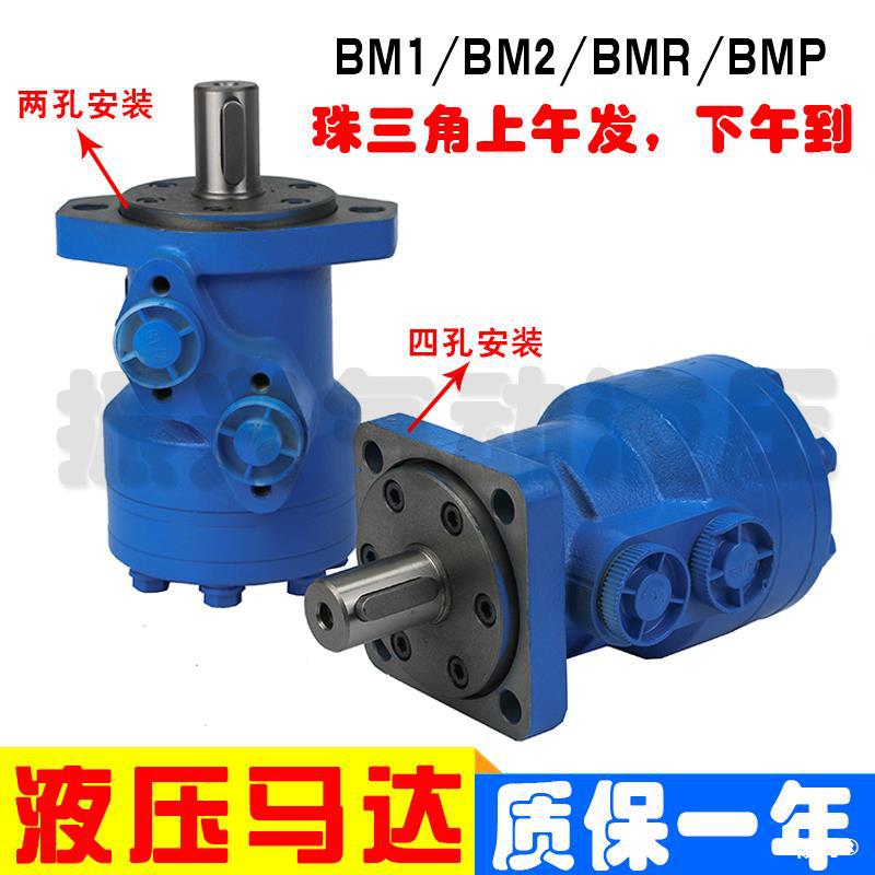 Hydraulic motor BM2/BMR50/63/80/100/125/160/200/250/315/400 Motor Oil