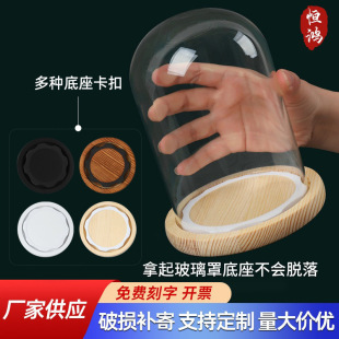 ��Ó��EVA���۲������������ɻ�չʾ�з��m�����k��ģ��������