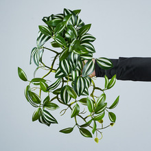 ����ֲ��W�y�������~�W�y�~�ڒ����ֲ�����ٗl�����b�����